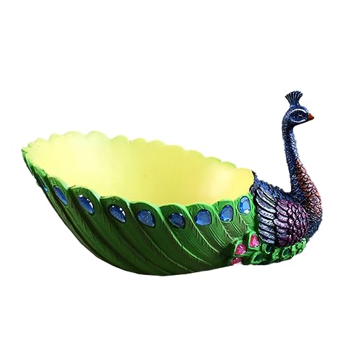 Pots de fleurs succulentes paon pour rompre la monotonie d'une décoration intérieure - 4