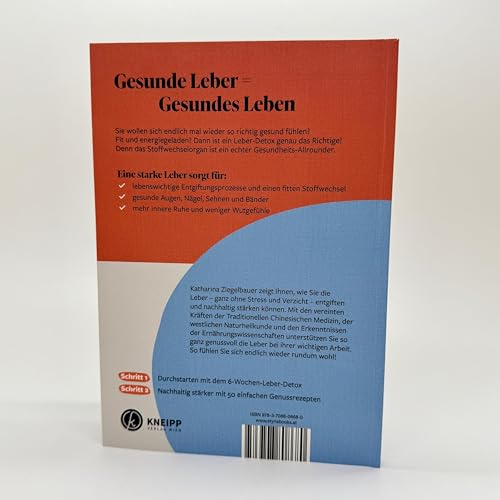 Stärke deine Leber: Heilende Ernährung für eine gesunde Leber – Bild 9