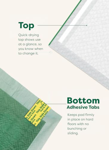 Image of Regular [L] Puppy Pee Pads, Clear View Top, Max Absorbency, 75CT