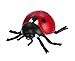 Safari Ltd. Life Cycle of a Ladybug - Educational Toy Figurines - Miniature Beetle Lifecycle Collection for Boys, Girls & Kids Age 4+