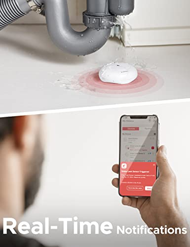 Smart Smoke Alarm WiFi Connected