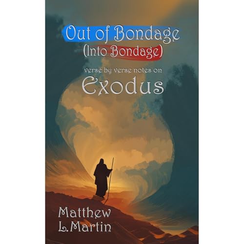 OUT OF BONDAGE INTO BONDAGE (Authored by Matthew L. Martin) episode artwork
