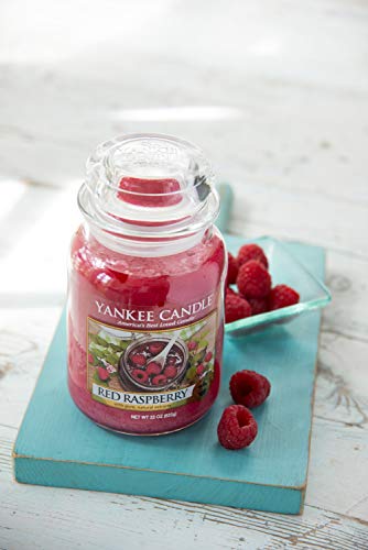 Yankee Candle Duftkerze im Glas (klein) | Red Raspberry | Brenndauer bis zu 30 Stunden