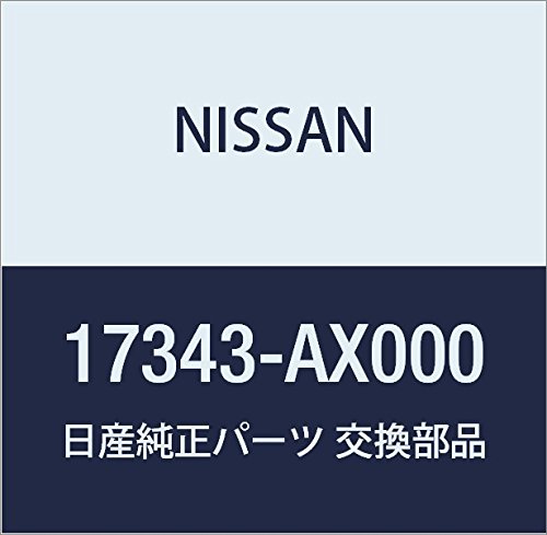 Amazon | NISSAN (日産) 純正部品 プレート ロツク フユーエル ゲージ