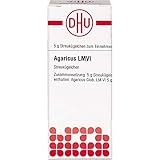 DHU Agaricus LM VI Streukügelchen, 5 g Globuli