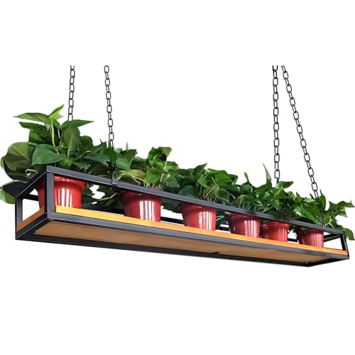 Estante de almacenamiento de techo colgante con estantes flotantes para plantas y soporte para botellas de vino, estante de exhibición negro con cadena de hierro y ganchos, fácil de instalar (60 x 25