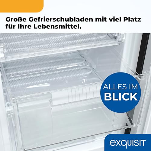 Exquisit Gefrierschrank | 85 l Nutzinhalt, Energieklasse C, 39 dB(A) | kompakte Bauform für kleine Küchen, 4-Sterne-Gefrieren, manuelle Temperaturregelung, wechselbarer Türanschlag | GS581-051C