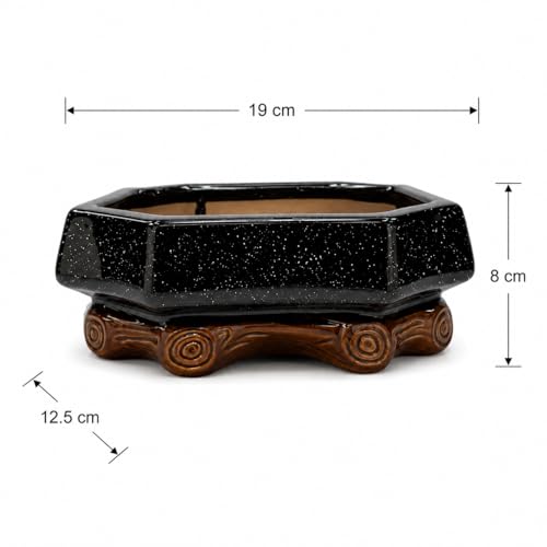 Image of Xtore Refined Rustic Ceramic Bonsai Planter Pot for Indoor & Tabletop Decor | Handcrafted Wide Bowl with Wooden Base Stand for Succulents, Zen Gardens & Home Styling (Pack of 1,Planter Only)