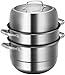 AYHa Hochwertiger Edelstahl-Dampfgarer | Multifunktions-Kochgeschirr-Dampfgarer | Induktionskasserolle | Mit Glasdeckel und poliertem Spiegel | 3-Tier | Spülmaschinenfest,28cm