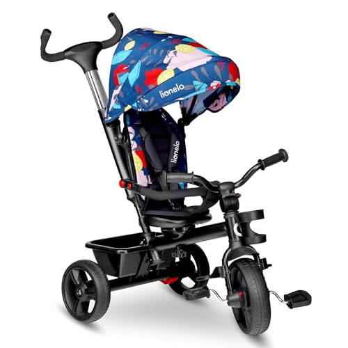 LIONELO Haari Tricycle bébé évolutif jusqu'à 25 kg, vélo de Marche vélo pour Les Enfants Plus âgés, siège réversible, Grand Panier Sac, Porte-gobelet, Roue Libre