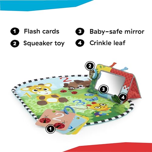 Image of Baby Einstein Discovery Garden Tummy Time Mat & Mirror, Ages 0-6 Months, Multisensory