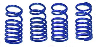 E-Revo or Revo 3.3 Blue Dual Rate Shock Springs Set