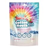 Nature's Stance Xylitol Mints for Cotton Mouth Relief, Dry Mouth Lozenges Sugar Free, Mouth Watering Mints - Stimulates Saliva & Freshens Breath, 40 Count (Pomegranate Raspberry Bliss)