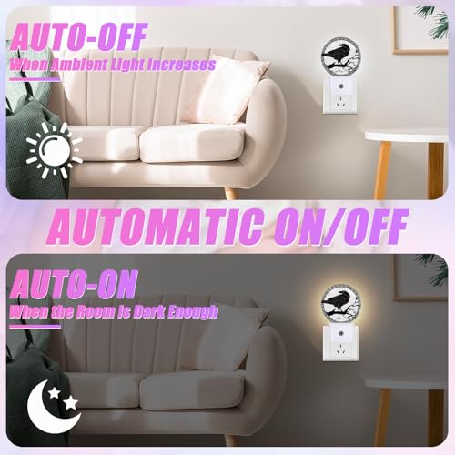 Image of Crow Night Light Black Bird Night Lights LED Lamp Round Plug into Wall Nightlight with Dusk to Dawn Sensor Home Hallway Stairway Kitchen Decor