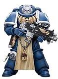 HiPlay JoyToy Warhammer 40K Collectible Figure: Ultramarines Sternguard Veteran with Bolt Rifle 1:18 Scale Action Figures JT9831