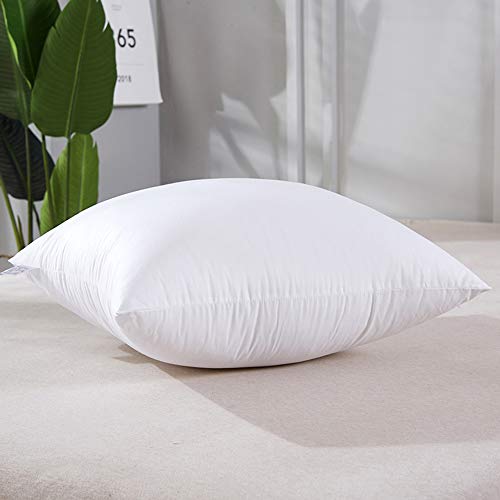 Huifengs Pillow Inserts, Hypoallergenic Square Form Decorative Throw Pillow Couch Sham Cushion Stuffer 20 X 20 Inches Set Of 1 thumb #5