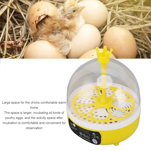 Mini Egg Incubator for Home Automatic Temperature Humidity Eggs Candler Poultry Hatching Machine for Hatching Chick Duck Quail (Auto Turning)
