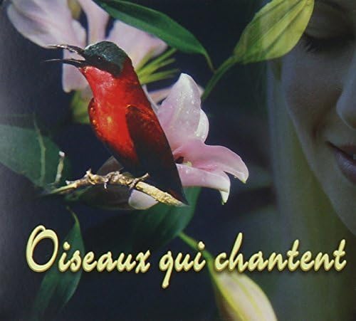Oiseaux Qui Chantent [Audio CD] Oiseaux Qui Chantent