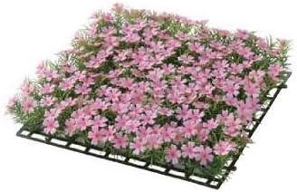 Amazon タカショー 観葉植物 グリーンデコ 和風下草 芝桜マット Gn 76 26 26cm Diy 工具 ガーデン