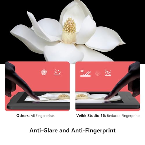 VEIKK Studio 16 thumbnail 8