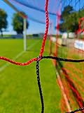 Netsportique