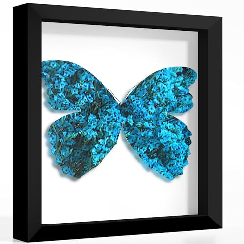 Picrit 12x12 Black Wooden Shadow Box Frame 1.2 Deep Tempered Glass