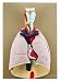 Eisco Labs Advanced Heart and Lung Model, 7 Parts