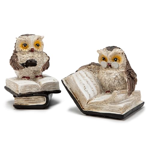 Estatua de Búhos Lectores, Set de 2 Figuras Decorativas miniatura 1