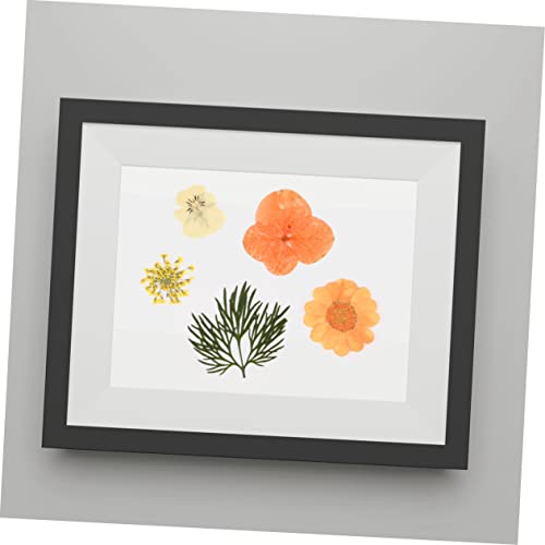 Flores naturales secas naranja, 40 piezas para decoración miniatura 7