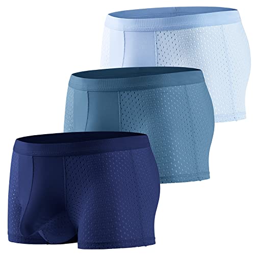Evankin Men Mesh Ice Silk Underwear with Bulge Pouch Breathable Cool Boxer Briefs Ultra-thin panties