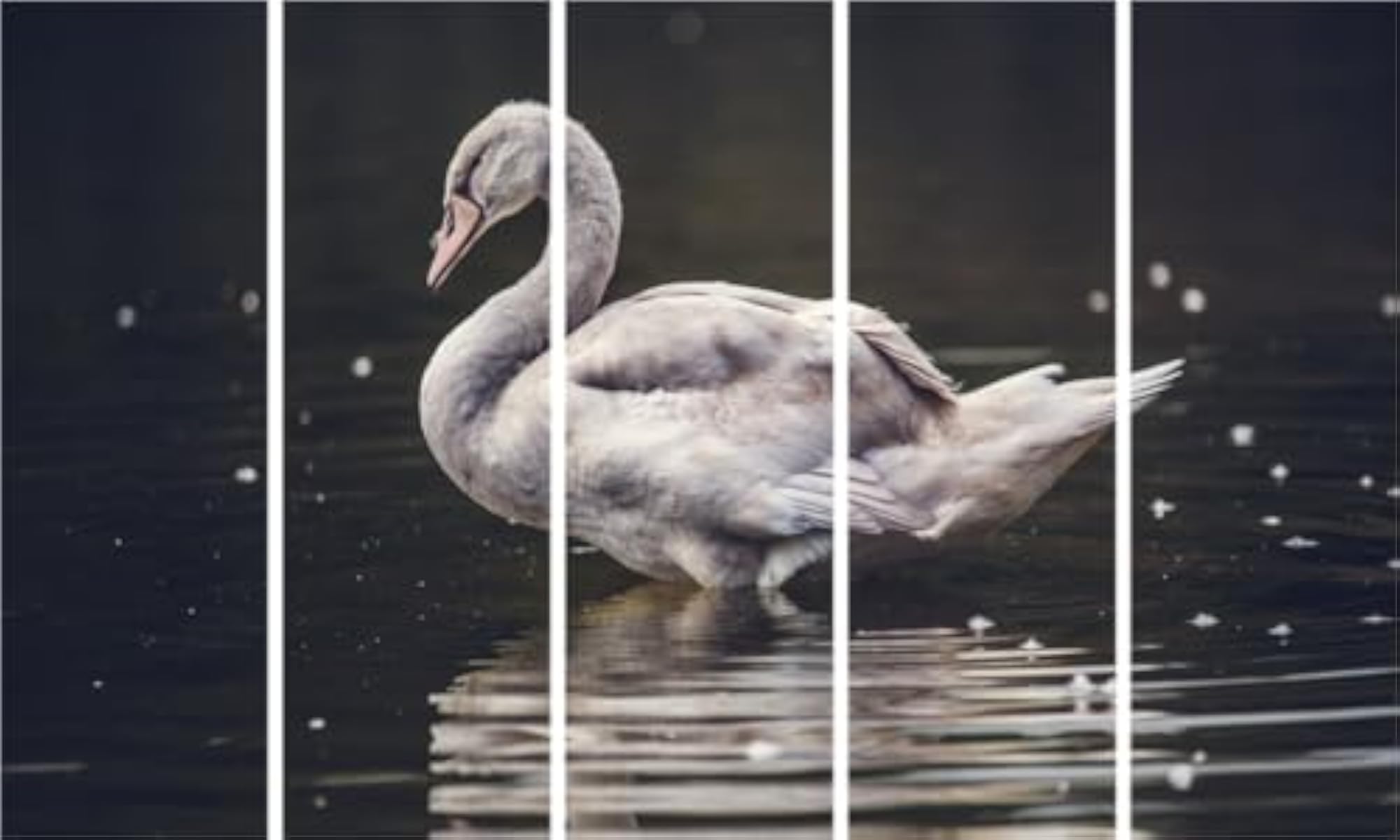 Duck Canvas Multiple Frames 3D Painting for Home Decoration