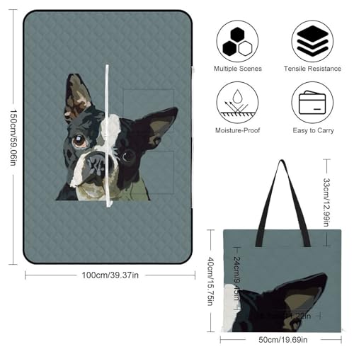Couverture de pique-nique Boston Terrier zippée imperméable et tapis extérieur