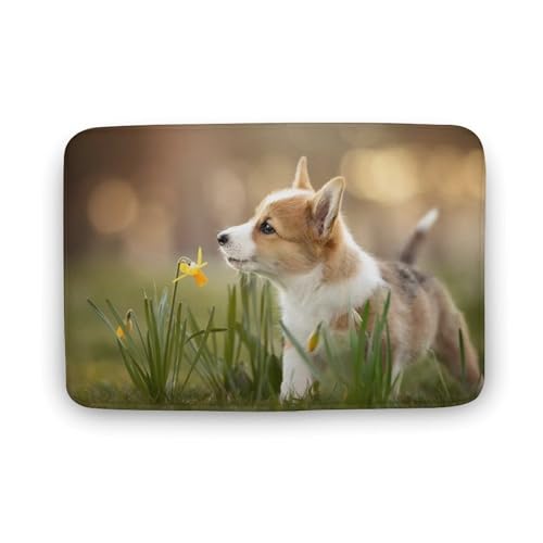 Č  L  oX}bg \tg􂦂 z  փ}bg  O   \ ~ Aj LN^[ @}bg   ʏ