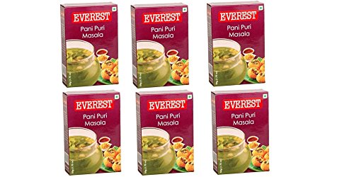 Everest Pani Puri Masala - 100g Pack of 6
