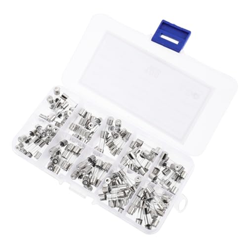 TEHAUX Kit de Fusibles de Vidrio 200 piezas Accion Rápida 5x20mm 0.2A-20A con Estuche miniatura 5