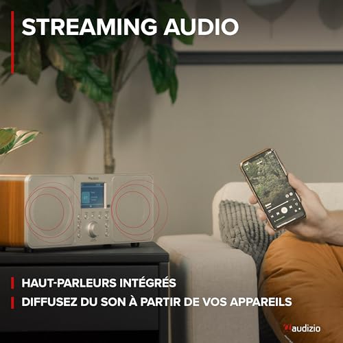 Radio DAB+ avec double haut-parleur et Bluetooth 5.0 pour un son stéréo pur - 4