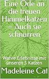 idealo pneu  Eine Ode an die treuen Himmelkatzen – Auch sie schnurren: Wahre Erlebnisse mit unseren 5 Katzen (German Edition)