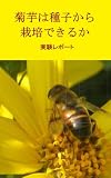 種から菊芋栽培実験レポート