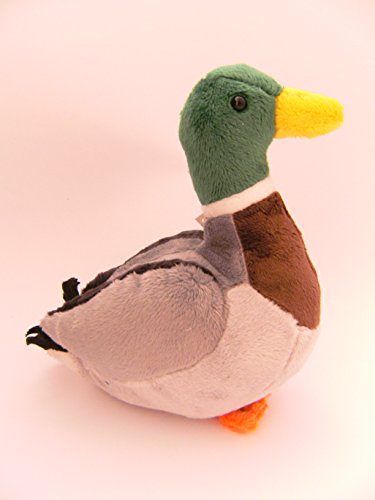 Unbekannt Cornelissen Unbekannte Stofftier-Ente 20 cm, Kuscheltier Drake