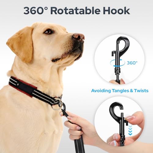 Forces et compromis de la laisse Euqvunn