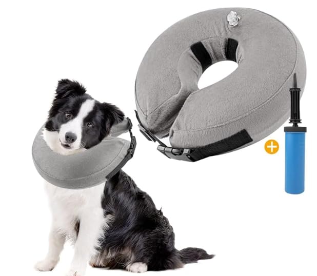 Collar Isabelino Perro, Collar Inflable Protector Ajustable, Collar de Recuperación Inflable con Pompe à Ballons para Curar Heridas y Evitar Mordiscos y Arañazos - Gris, L