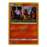 [Alta calidad]: Todas las cartas coleccionables de Pokémon están hechas de papel de alta calidad. Estas tarjetas están bellamente impresas con patrones claros, colores brillantes y efectos centelleantes.
