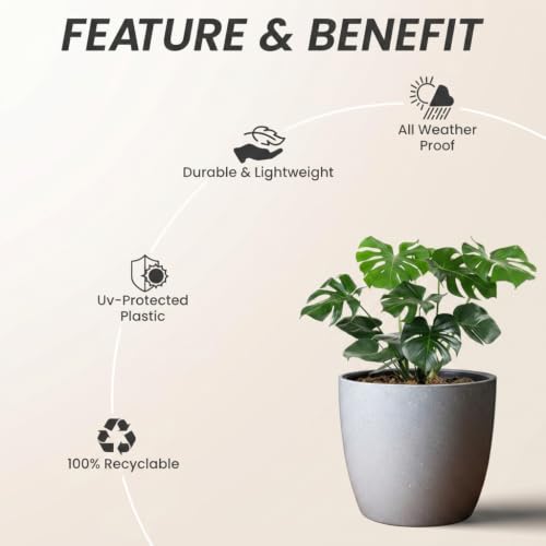 Image of YUCCABE ITALIA SHERA Stella 4 Inch Pack of 3 Piece Plastic Plant Pot for Home Decor Indoor Plant Pots for Living Room Plastic Flower Pot for Garden (Stone Grey, 10 INCH - 6 Pcs)
