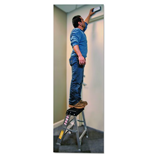 Louisville Ladder AS3002 6966014, 2 Feet, Black