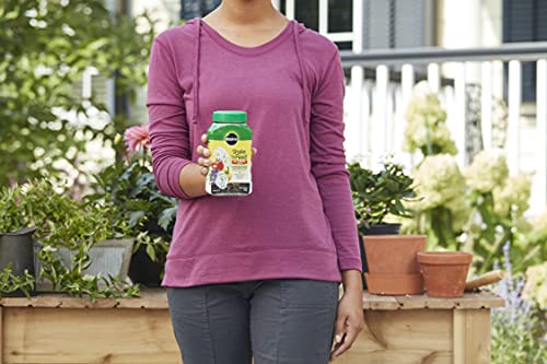 Image of Miracle-Gro Shake 'N Feed Rose & Bloom Plant Food, 4.5 lb