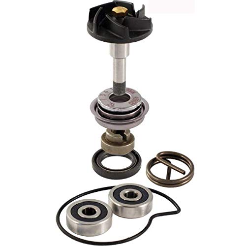 KIT REVISIONE POMPA ACQUA COMPATIBILE CON PIAGGIO BEVERLY 250 RMS