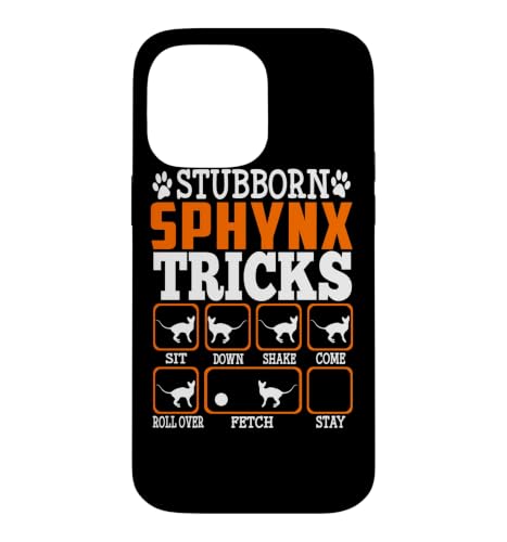 ��łȃX�t�B���N�X�̔L�̃g���b�N�ʔ����L�e�B�L�̗��l �X�}�z�P�[�X iPhone 14 Pro Max �p