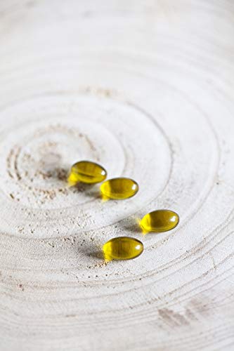 Hanföl Kapseln, Nahrungsergänzungsmittel mit veganer Omega-3-Quelle zur Aufrechterhaltung eines normalen Cholesterinspiegels (120 Kapseln)