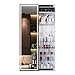 WLL-DP Wall Mounted LED Lights Jewelry Armoire Organize Cabinet, Full-Length Mirror Sliding Door Design, with Ring Earring Slots/Necklace Hooks