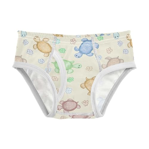 Cute Turtles Toddler Boy's Underwear 2T 202c1584
